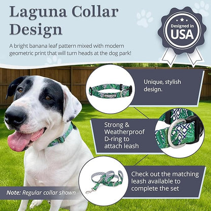 Lucky Love Dog Collar, Beautiful & Vivid Pattern X-Small Boy Dog Collars, Easy On & Off Clasp Accessory (Blue Laguna, XS)