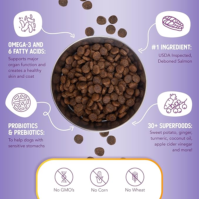 Health Extension Grain Free Salmon & Sweet Potato Dry Dog Food - 30+ Superfoods and Probiotics for All Life Stages (10 lb)