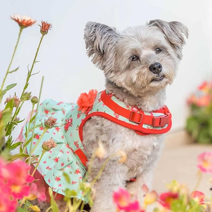 Blueberry Pet Soft & Comfy Spring Scent Inspired Floral No Pull Mesh Puppy Dog Costume Harness Dress, Turquoise, Chest Girth 14"-16", X-Small, Adjustable Harnesses for Dogs