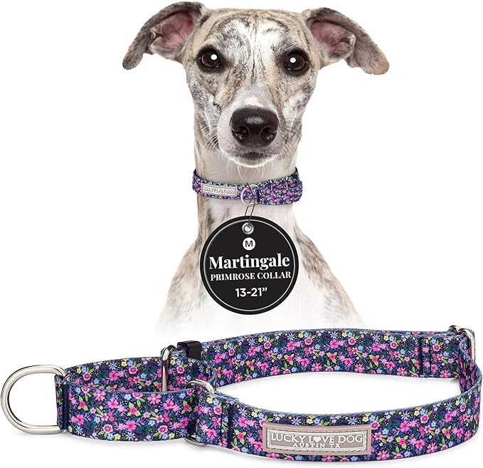 Lucky Love Dog Martingale Dog Collar - Adjustable, No-Slip, Durable, & Soft Webbing Collar for Male and Female Dogs Ideal for Training & Walking - Primrose, Medium