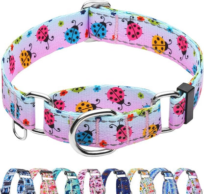 Reflective Martingale Collar for Dogs Nylon Training Collar with No Buckle, No Pull Adjustable Dog Collar for Large Dogs（Gradient Ladybug，L）