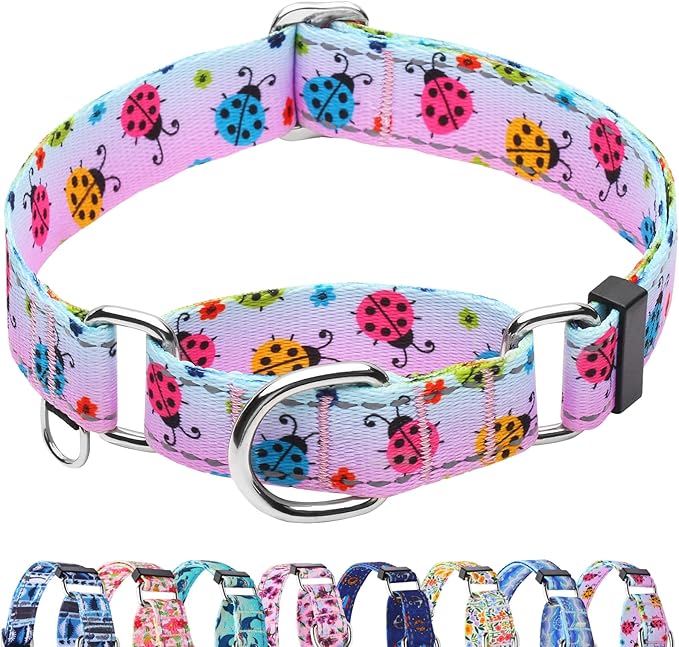 Reflective Martingale Collar for Dogs Nylon Training Collar with No Buckle, No Pull Adjustable Dog Collar for Small Dogs（Gradient Ladybug，S）
