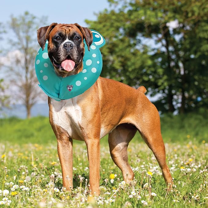 Frog Inflatable Recovery Collar, Comfortable Cone Replacement for Pet Surgery, Protective Collars to Prevent Licking & Biting, Size Large