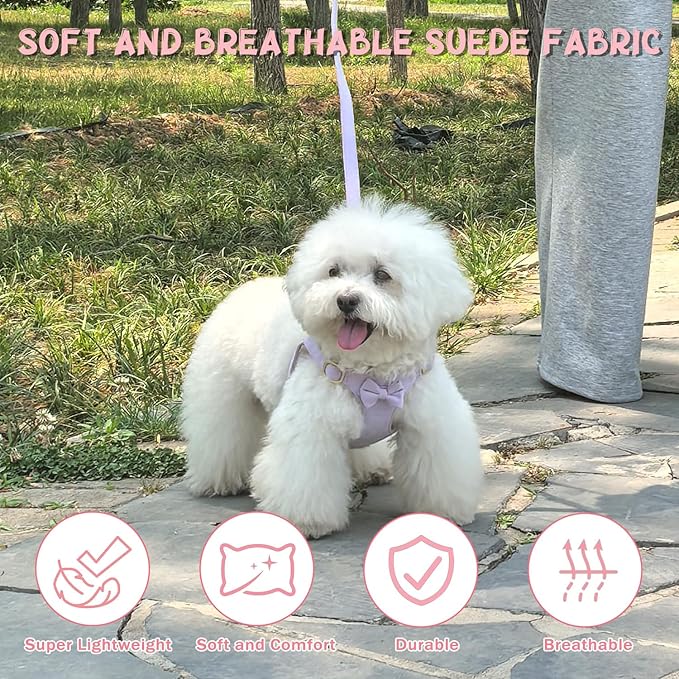 Guiding Star Dog Harness Small Sized Dog with Multifunction Leash, No Pull Puppy Dog Harness and Leash Set Training, Cute Soft Adjustable Dog Walking Harness Pet Vest Harness (Purple-XXS)