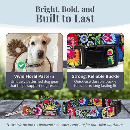 Lucky Love Dog - Easy Click Buckle Dog Collar with Leash Set Combo, Durable & Comfortable for Male & Female Dogs, Pet Collar for Small Dogs, Secure Fit - Blackbird Combo, Small