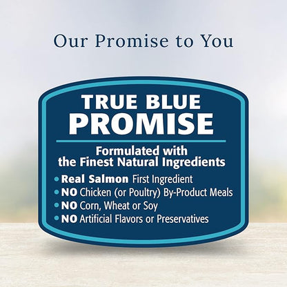 Blue Buffalo Basics Skin & Stomach Care Natural Wet Dog Food Topper, Salmon in Gravy 2.5oz Pouch (12 Pack)