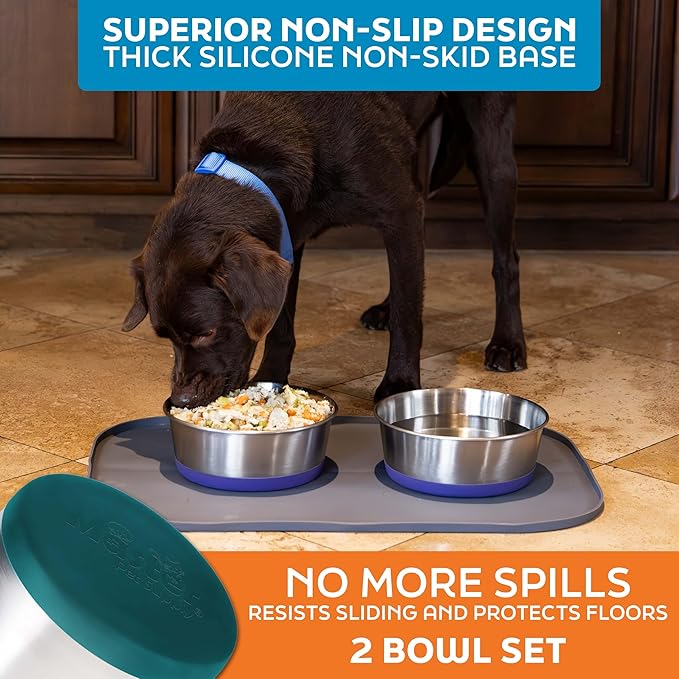 Master Pet Supply Stainless Steel Dog Bowls Set of 2 with Extra Thick Silicone Base - 8 Cup (64 oz) Emerald Sea, Non-Slip, Dishwasher Safe Metal Bowls, Pet Dog Food Bowl for Dogs, Cats, Anti Rust