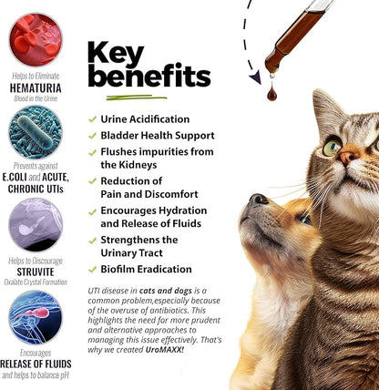 UroMAXX, Cat & Dog Urinary Tract Treatment, Bladder & Kidney Support for Dogs and Cats, Powerful Yet Gentle Pet Care, with Liquid Cranberry & Glucosamine, Chicken Flavor, 6 oz Bottle, 1 Pack
