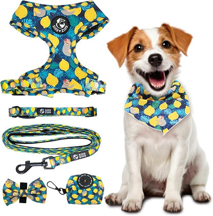 No Pull Harness and Leash Set - 6-in-1 Adjustable Vest Harness and Collars for Medium and Large Dogs. (Lemon, Small)