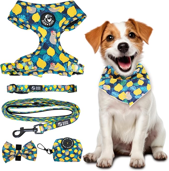 No Pull Harness and Leash Set - 6-in-1 Adjustable Vest Harness and Collars for Medium and Large Dogs. (Lemon, Large)