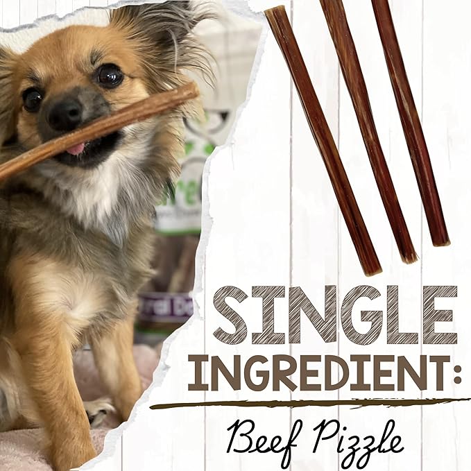 Nature Gnaws Super Skinny Bully Sticks for Small Dogs 5-6" (40 Count) - Long Lasting for Light Chewers and Puppies - Extra Thin Natural Beef Dog Chew Treats