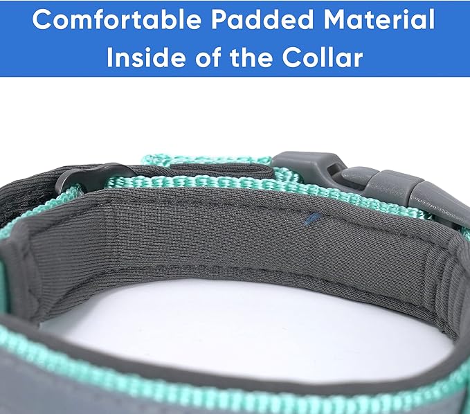 Pawtitas Lumberjack Padded Martingale Collar for Dogs | Soft Neoprene Dog Collar for Your pet's Comfort Made with Reflective Band for Maximum Visibility | Fits Small and Large Pets - Medium Teal
