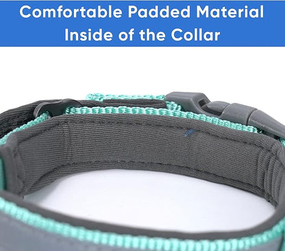 Pawtitas Lumberjack Padded Martingale Collar for Dogs | Soft Neoprene Dog Collar for Your pet's Comfort Made with Reflective Band for Maximum Visibility | Fits Small and Large Pets - XXS Teal