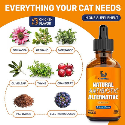 Cat Antibiotic to Help with Cough & Allergies – Antibiotics for Cats to Aid with UTIs and Digestive Moments – Hips & Joints Support – Attractive Chicken Taste – 1 Oz Bottle