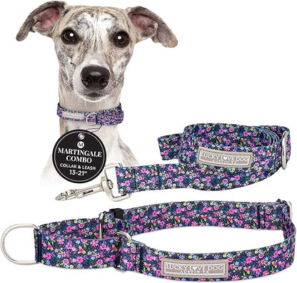 Lucky Love Dog Martingale Dog Collar & Leash - Adjustable, No-Slip, Durable, Comfortable, Soft Webbing, & Stylish Patterned Collar & Leash Set for Male and Female Dogs - Primrose Combo, Medium