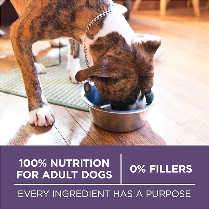 Purina ONE High Protein Dry Senior Dog Food Plus Vibrant Maturity Adult 7 Plus Formula - 8 lb. Bag