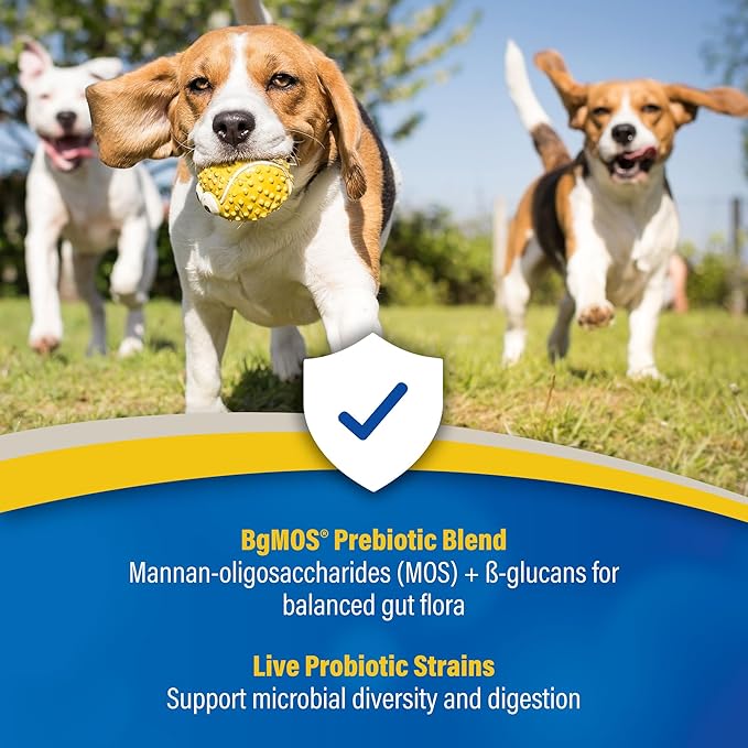 Doc Roy’s GI Synbiotics Probiotic & Prebiotic Supplemental Gel for Dogs & Cats, Digestive & Immune Health Supplement with Live Cultures, BgMOS & Beta Glucans, Chicken Flavor, 15ml Oral Gel