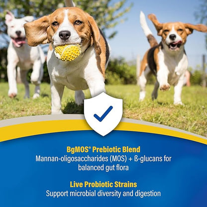 Doc Roy’s GI Synbiotics Probiotic & Prebiotic Supplemental Gel for Dogs & Cats, Digestive & Immune Health Supplement with Live Cultures, BgMOS & Beta Glucans, Chicken Flavor, 15ml Oral Gel
