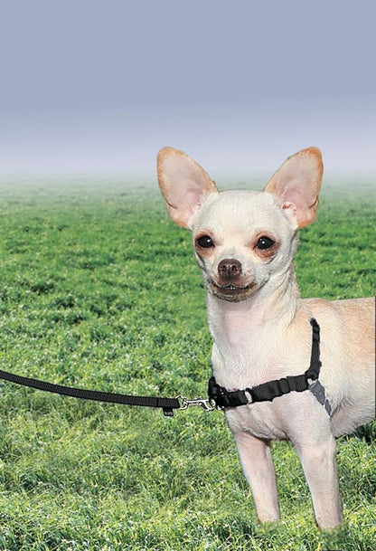 PetSafe Easy Walk No-Pull Dog Harness - The Ultimate Harness to Help Stop Pulling - Take Control & Teach Better Leash Manners - Helps Prevent Pets Pulling on Walks, Petite, Black/Silver