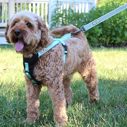 Pawtitas 6 FT Padded Dog Leash with Comfortable Neoprene Padding Handle - Red Lead | Medium Reflective Dog Leash with Highly Reflective Band Perfect for Medium and Large Dogs and Puppies.