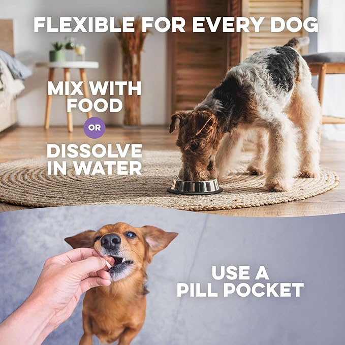 Peaceful Paws Dog Behavior Support – Natural Dog Anxiety Relief and Calming Care for Dogs – Gentle Aid for Separation Anxiety Relief for Dogs, Barking, Travel & Aggression ( 400 Tiny Pills)
