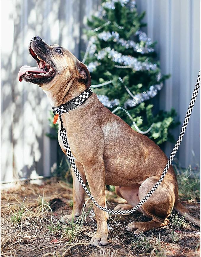 Roses&Poetry Dog Collar and Leash for Extra Small,Adjustable Durable 5ft Puppy Leash Collar for Dog Training Lead（Black & White-XS）