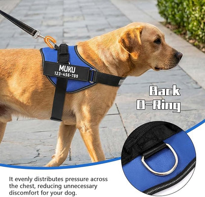 MUMUPET Custom Dog Harness Vest with 2 Personalized Name & Phone Patches, No Pull Reflective Adjustable with Handle, Soft Breathable Padding for Medium Dogs (Blue, M)