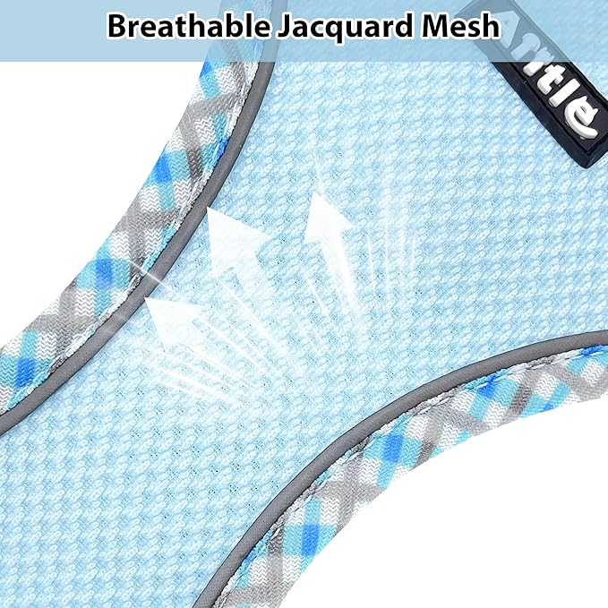 AIITLE Teacup Puppy Harness with Leash - Adjustable Soft Vest with Magic Tape & Reflective Safety Strips, Easy-Put-On for Poodles, Pomeranians - Gym, Hiking, Travel (Blue, S)