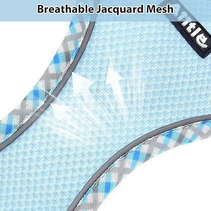 AIITLE Teacup Puppy Harness with Leash - Adjustable Soft Vest with Magic Tape & Reflective Safety Strips, Easy-Put-On for Poodles, Pomeranians - Gym, Hiking, Travel (Blue, S)