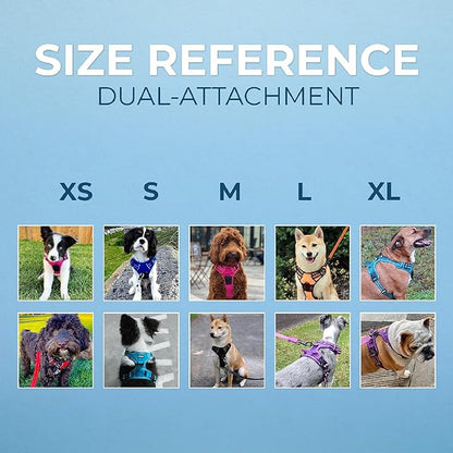 Voyager Dog Harness Dual Leash Attachment No-Pull Control Adjustable Soft but Strong Pet Harness for Medium and Large Dogs with 3M Reflective Technology, Black Nylon, XS (Chest: 13-16")