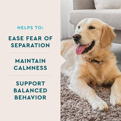 VetIQ Calming Support Supplement,Calming Chews for Dogs Help Manage Stress and Promote Relaxation,Anxiety Relief for Dogs,Made in The USA,120 Count (Pack of 2)