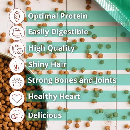 The Green Dog: Super Premium - Puppies - 16.5 Lb Bag Dog Food - Plant Based Protein, Vegan Dry Pet Kibble, Gluten Free, Complete Nutrition