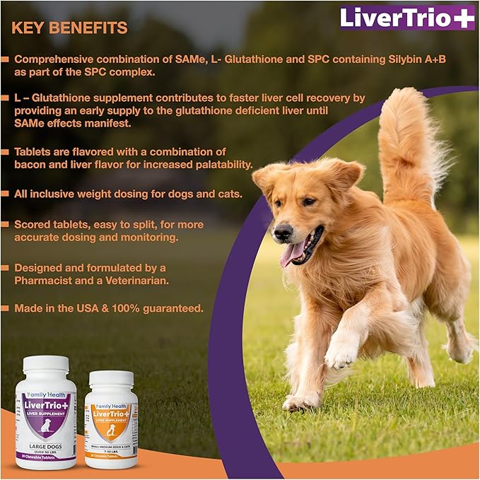 Comprehensive Liver Supplement (2 Pack - 60ct), Combining Same, SPC, Silybin A+B, Gluathione, Chew Tabs for Dogs 30Ct (2X Small - Medium)