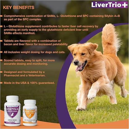 Comprehensive Liver Supplement (2 Pack - 60ct), Combining Same, SPC, Silybin A+B, Gluathione, Chew Tabs for Dogs 30Ct (2X Small - Medium)