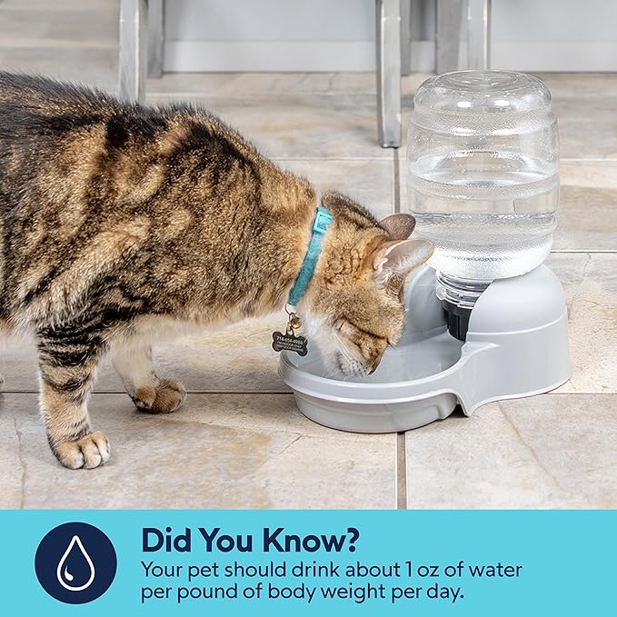 Aspen Pet Lebistro Cat and Dog Water Dispenser, Made in USA