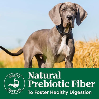 Nutro Natural Choice Dry Dog Food Large Breed, Puppy Food Dry Recipe, Chicken and Brown Rice Recipe, 30 lbs.