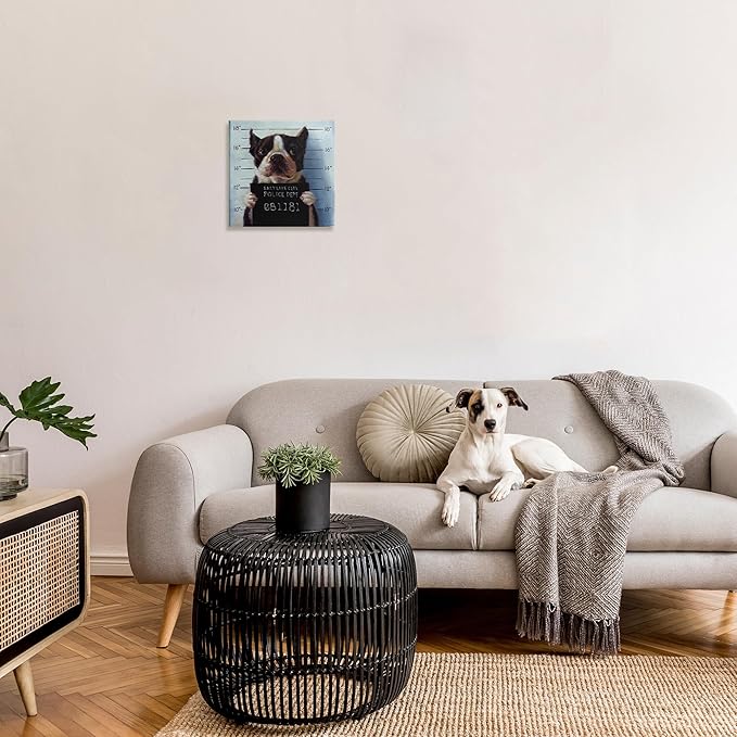 Stupell Industries Funny Boston Terrier Dog Jail Convicted Police, Design by Lucia Heffernan