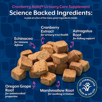 NaturVet – Cranberry Relief Plus Echinacea – Helps Support a Healthy Urinary Tract & Immune System – 120 Soft Chews