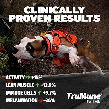 Bully Max Dry Dog Food for Adults & Puppies - High Protein & Fat for Muscle & Weight Gain - High Performance Dog Food Supplements - Small & Large Breed Dogs (535 Calories Per Cup), Chicken, 5lb Bag