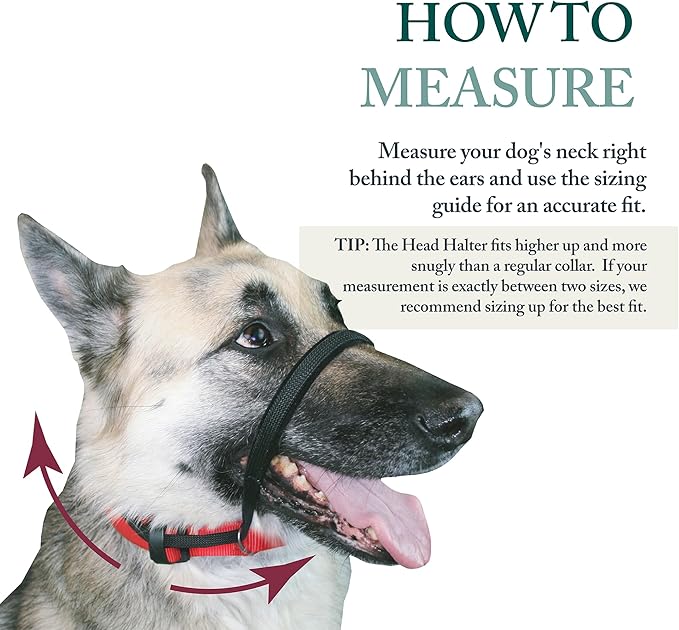 Sporn Head Halter for Dogs, No Pull Dog Harness, Durable Nylon Training Collar for Large Breeds, No Choke Design, Padded Restraints, Adjustable Fit, Easy On/Off, Black, Large