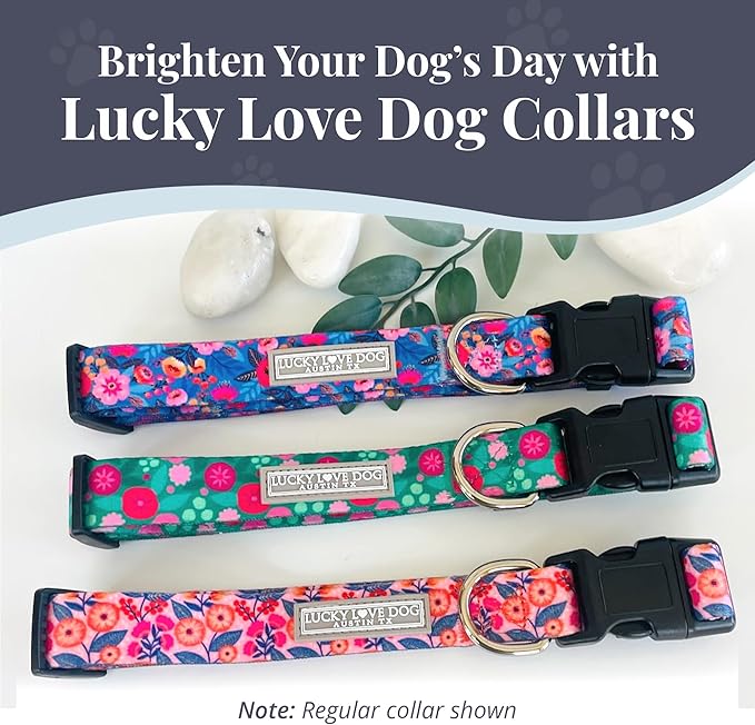 Lucky Love Dog Martingale Dog Collar - Adjustable, No-Slip, Durable, & Soft Webbing Collar for Male and Female Dogs Ideal for Training & Walking - Rosie, Large