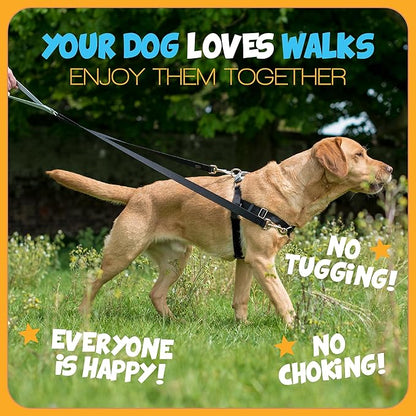 2 Hounds Design Freedom No Pull Dog Harness, Adjustable Harness, Easy Walking & Comfortable Control, Fits Small, Medium & Large Dogs, Solid Colors, Made in USA, 5/8" MD, Neon Organge