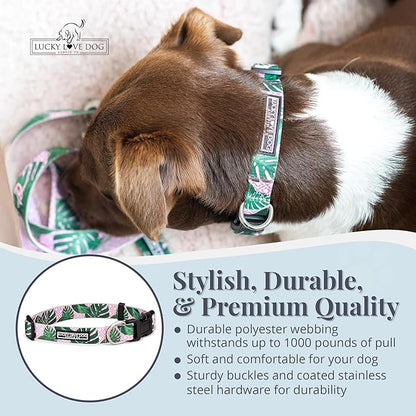 Lucky Love Dog - Adjustable Dog Collar with Easy Click Buckle for Small Ones, Durable, & Comfortable for Male & Female Dogs, Pet Collar for Puppies & Adult Dogs - Laguna, XS
