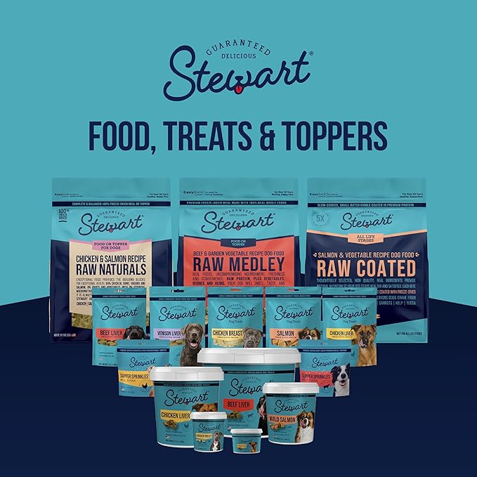Stewart 100% Wild Salmon Dog Treats, 2.75 oz Tub, ~55 Pieces, Freeze Dried Raw, Single Ingredient, 65% Protein Training Treats or Meal Topper, Grain Free, Gluten Free