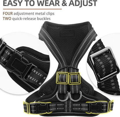PUPTECK Dog Harness and Leash Set Small Sized, Adjustable Reflective Escape Proof Puppy Vest, No Pull Walking Harness Easy Control