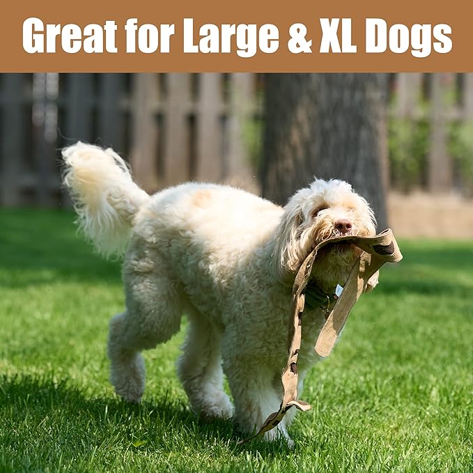 SPOT Skinneeez Leather Snake – 36" Stuffing-Free Dog Toy with Real Leather & 5 Squeakers, Tug Toy for Light to Moderate Chewers, Ideal for Large & XL Dogs