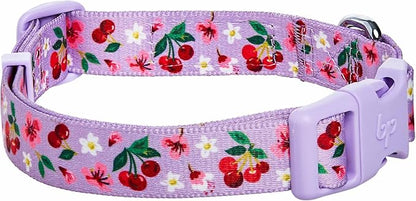 Cherry Garden Dog Collar with Dainty Flowers