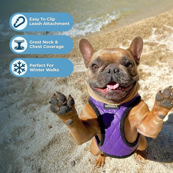 Best Pet Supplies - All Weather Plush, Reflective, No Pull Harness for Small, Medium Dogs, Cats - Secure with Hook & Loop Fastener, Buckle, Double D-Rings - Purple Faux Leather, XL