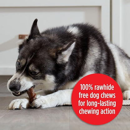 Milk-Bone Flavor Rolls Chicken Doodle Dandy Rawhide Free Dog Treat with Chicken, 5-Count Bag