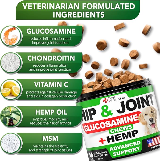 Vet Promise Hemp Hip and Joint Support Supplement for Dogs - Glucosamine for Dogs - Hemp Oil, MSM, Chondroitin - Support for Joint Pain Relief and Health - 120 Soft Chews - Made in USA